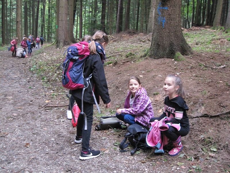 wald3